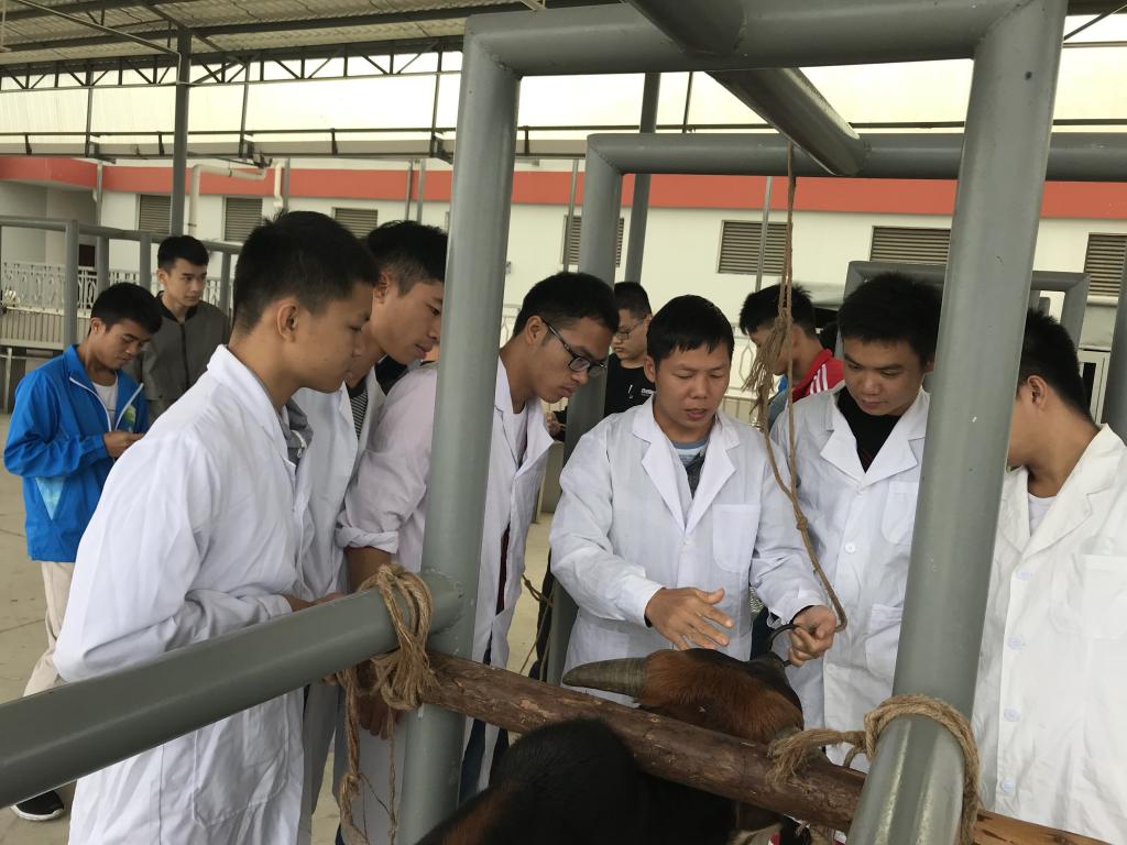 學畜牧技術，走致富之路——畜牧漁業飼料銷售的關鍵策略