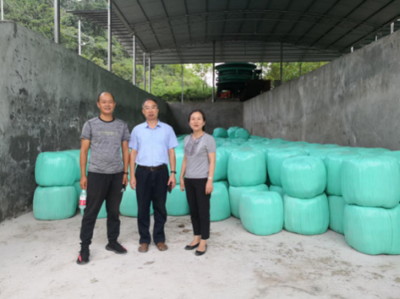 市畜牧總站帶隊南方草地項目指導工作圓滿完成，助力墊豐石畜牧飼料業升級